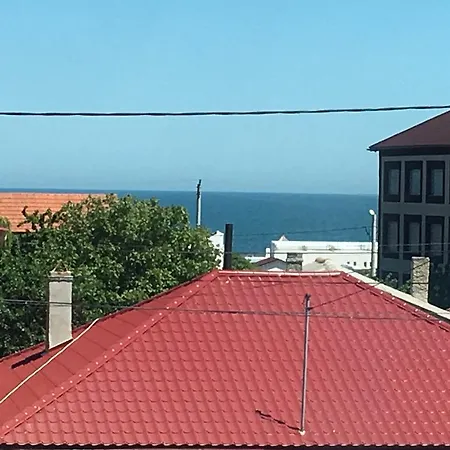 Holiday Cristi